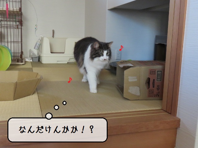 f:id:suzumesuzume:20201020155013j:plain