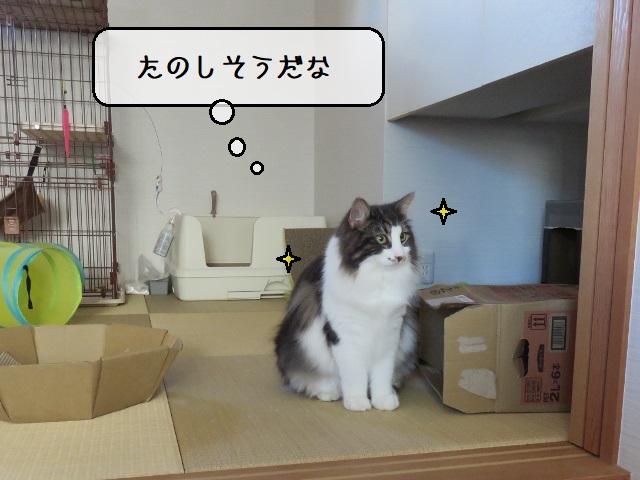 f:id:suzumesuzume:20201020155019j:plain