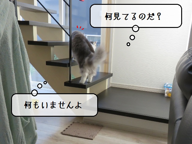 f:id:suzumesuzume:20201020155030j:plain