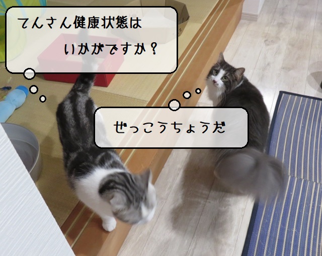 f:id:suzumesuzume:20201020194505j:plain f:id:suzumesuzume:20201020194505j:plain