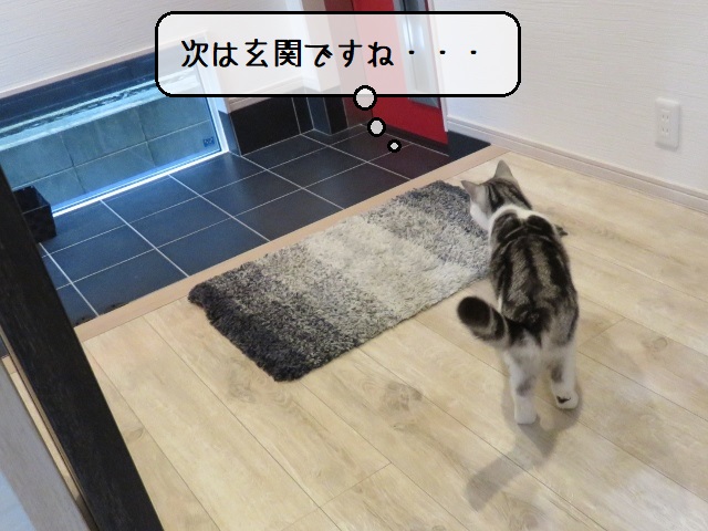 f:id:suzumesuzume:20201020194512j:plain f:id:suzumesuzume:20201020194512j:plain