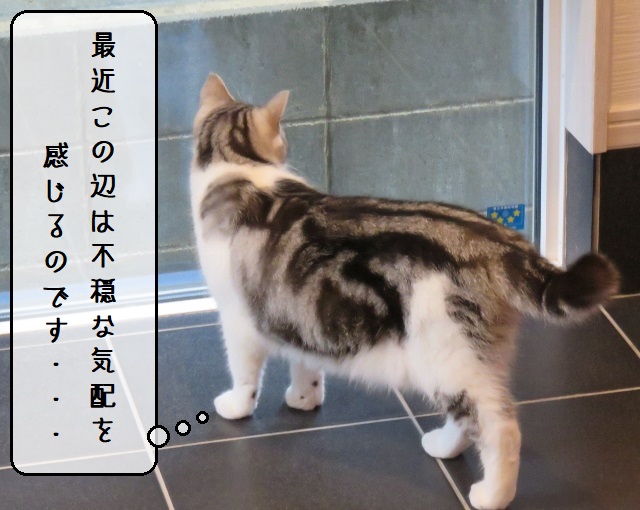 f:id:suzumesuzume:20201020194520j:plain f:id:suzumesuzume:20201020194520j:plain