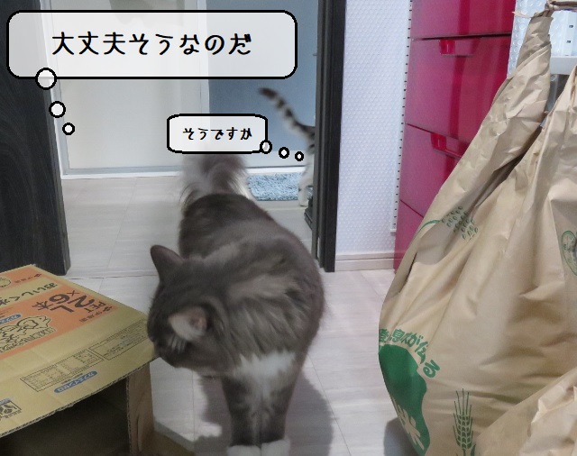 f:id:suzumesuzume:20201020194545j:plain f:id:suzumesuzume:20201020194545j:plain