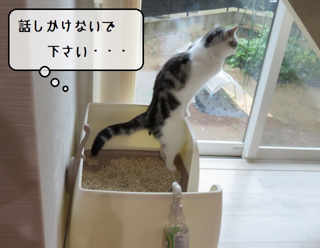 f:id:suzumesuzume:20201020194556j:plain f:id:suzumesuzume:20201020194556j:plain