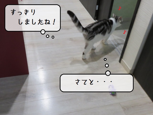 f:id:suzumesuzume:20201020194602j:plain f:id:suzumesuzume:20201020194602j:plain