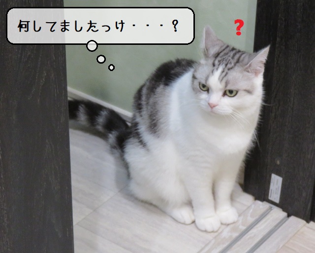 f:id:suzumesuzume:20201020194608j:plain f:id:suzumesuzume:20201020194608j:plain