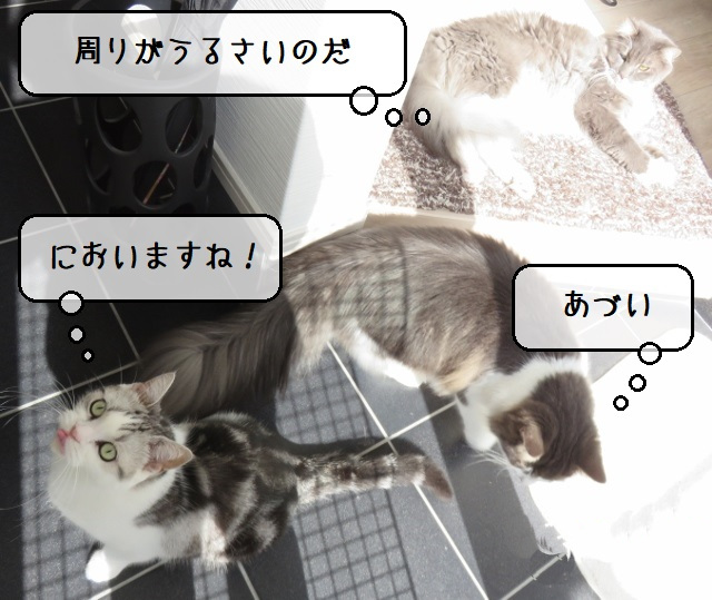 f:id:suzumesuzume:20201102145913j:plain