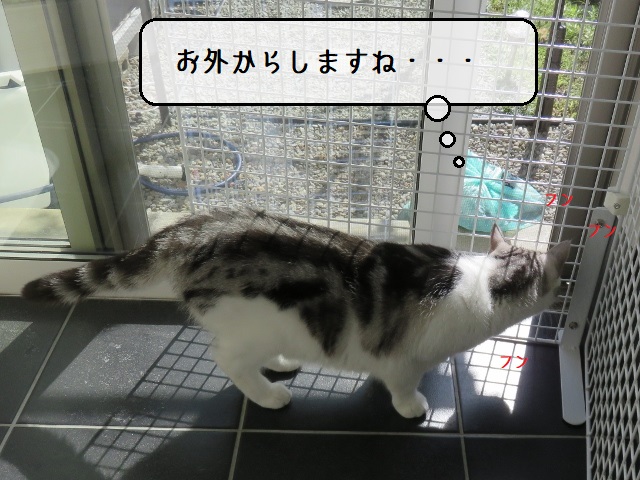 f:id:suzumesuzume:20201102145927j:plain