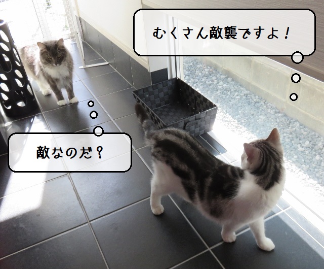 f:id:suzumesuzume:20201102145935j:plain