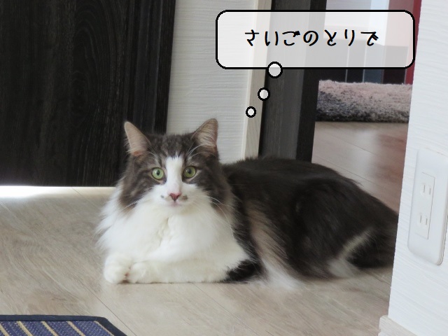 f:id:suzumesuzume:20201102145941j:plain