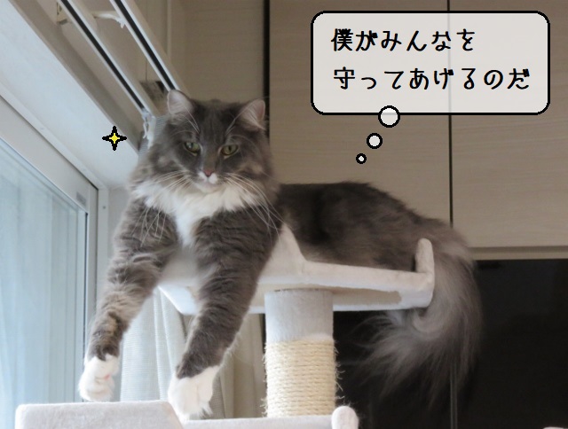 f:id:suzumesuzume:20201102150040j:plain