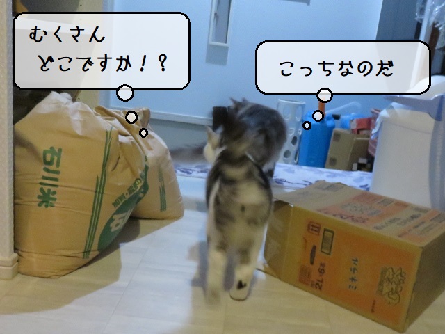 f:id:suzumesuzume:20201110160012j:plain