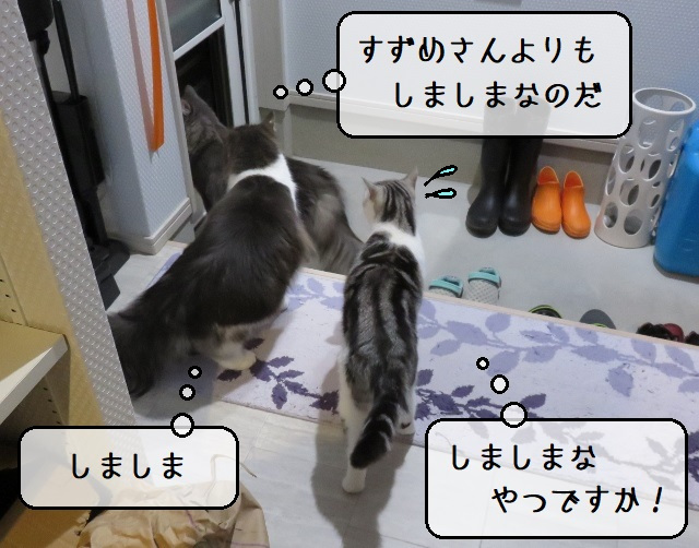 f:id:suzumesuzume:20201110160019j:plain