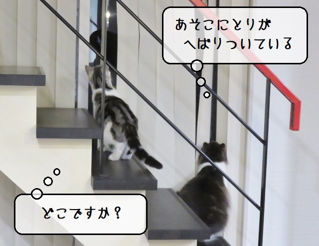 f:id:suzumesuzume:20201215161921j:plain