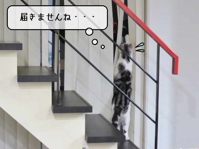 f:id:suzumesuzume:20201215161927j:plain