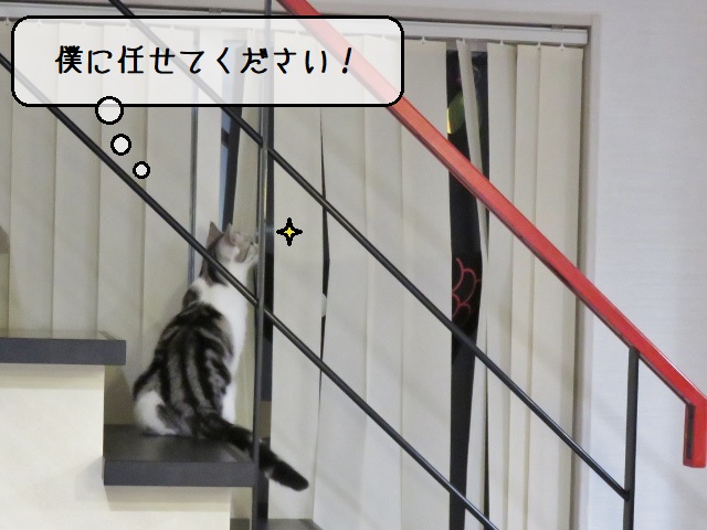 f:id:suzumesuzume:20201215161932j:plain