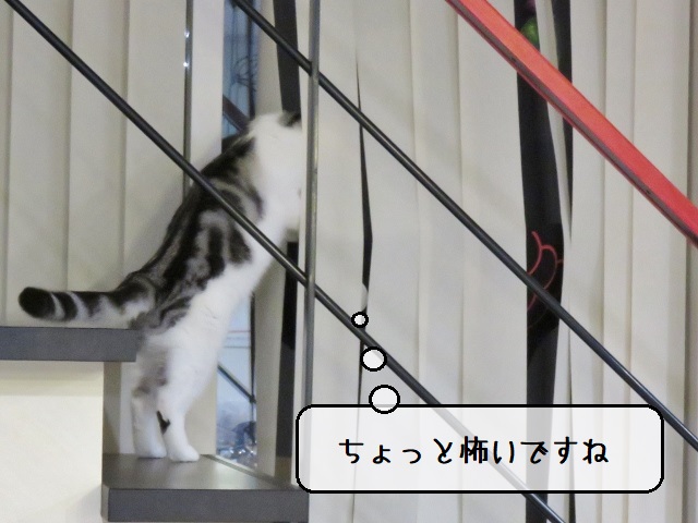 f:id:suzumesuzume:20201215161938j:plain