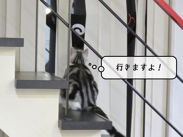 f:id:suzumesuzume:20201215161945j:plain
