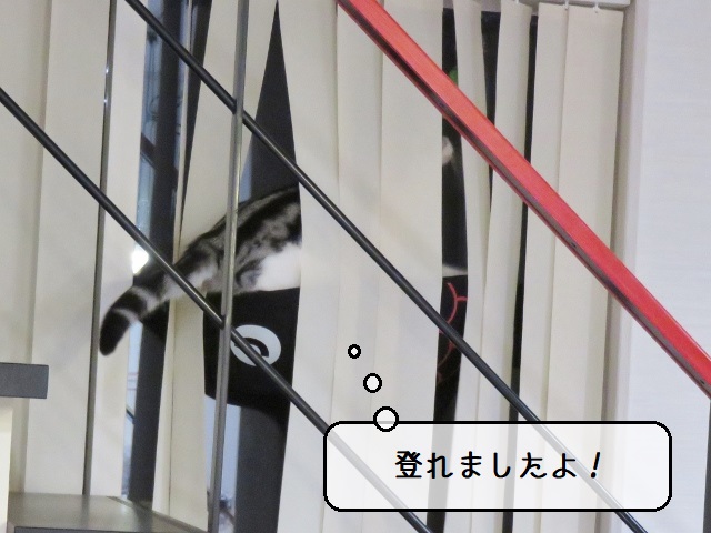 f:id:suzumesuzume:20201215161951j:plain