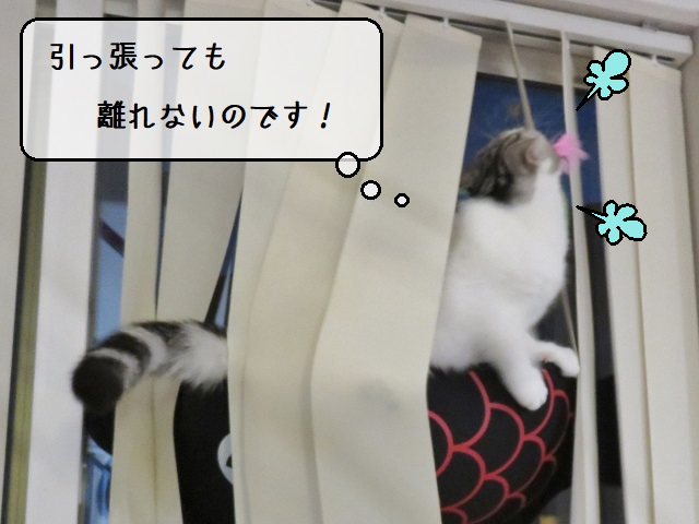 f:id:suzumesuzume:20201215161957j:plain