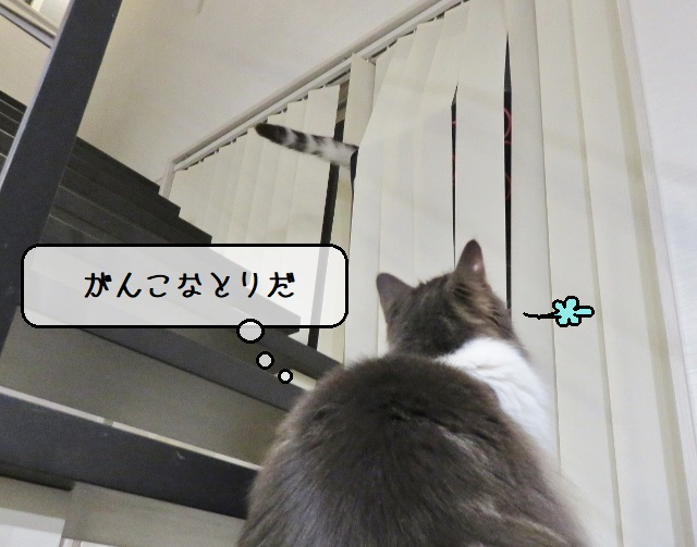 f:id:suzumesuzume:20201215162004j:plain