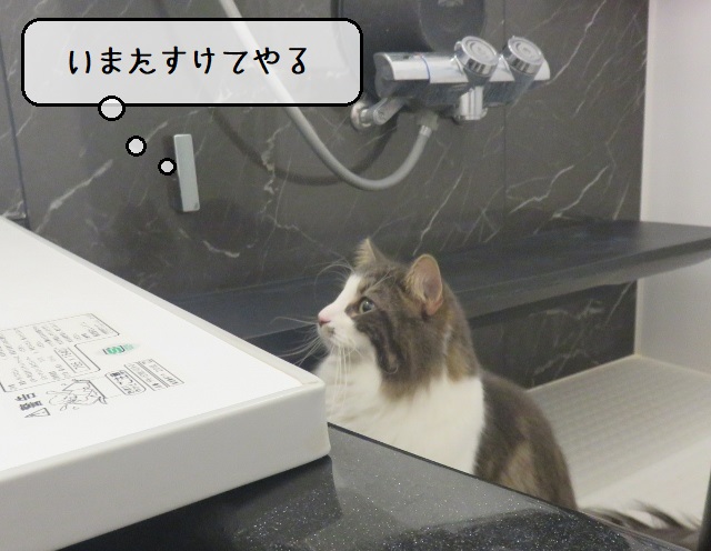 f:id:suzumesuzume:20210112194950j:plain