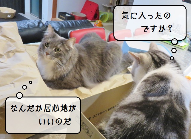 f:id:suzumesuzume:20210511151614j:plain