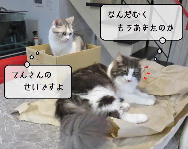 f:id:suzumesuzume:20210511151653j:plain