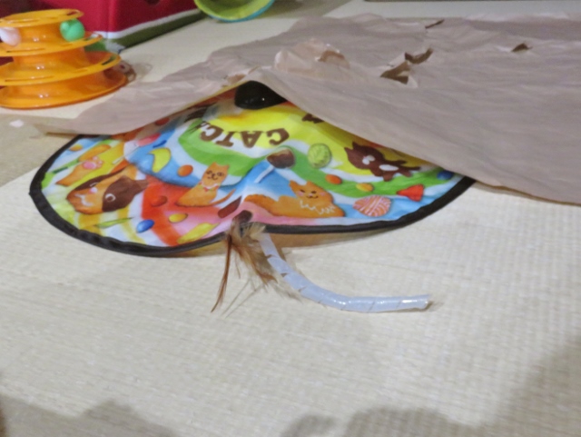 f:id:suzumesuzume:20210826202948j:plain