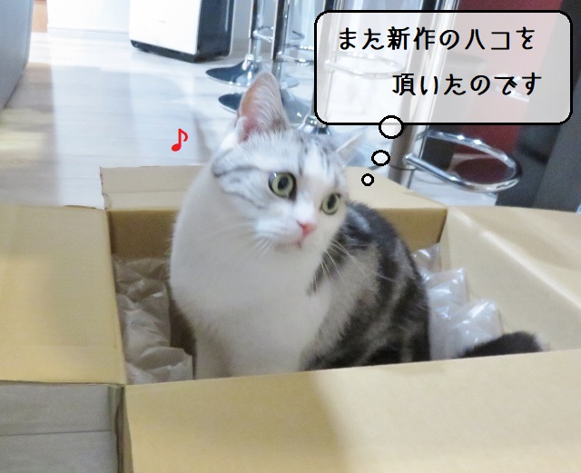f:id:suzumesuzume:20211019182332j:plain