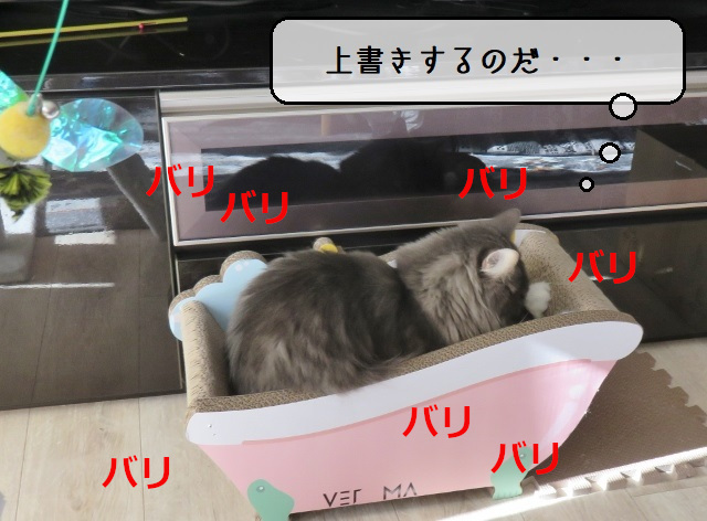 f:id:suzumesuzume:20211220151943j:plain