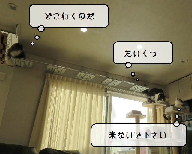 f:id:suzumesuzume:20220111155231j:plain