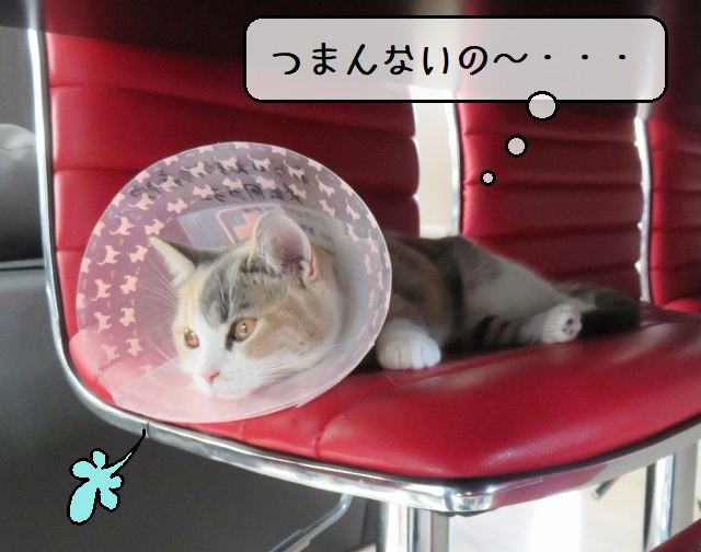 f:id:suzumesuzume:20220407160019j:plain