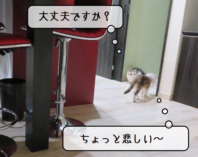 f:id:suzumesuzume:20220408201526j:plain