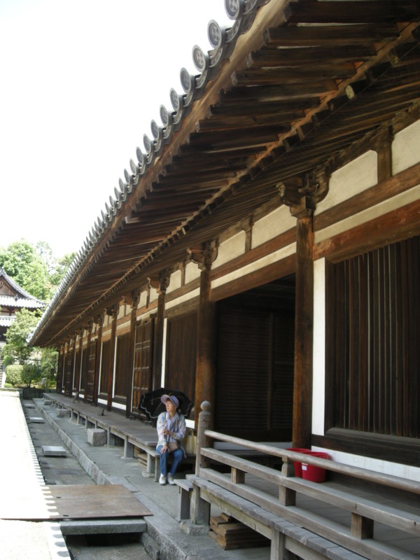 f:id:suzumetokarasu:20090513113724j:image