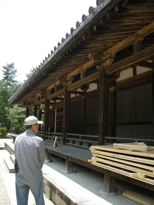 f:id:suzumetokarasu:20090513113952j:image