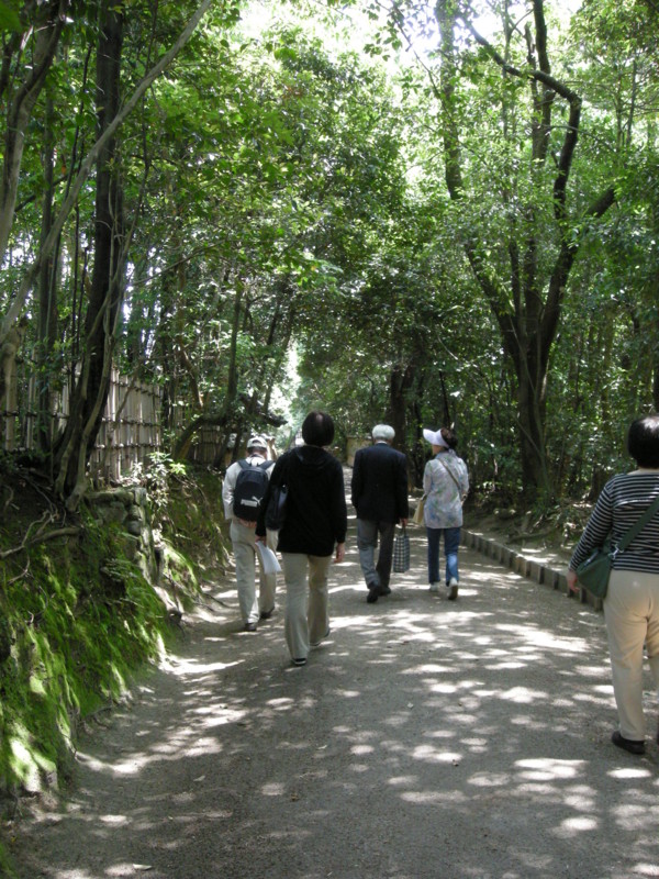 f:id:suzumetokarasu:20090513115459j:image