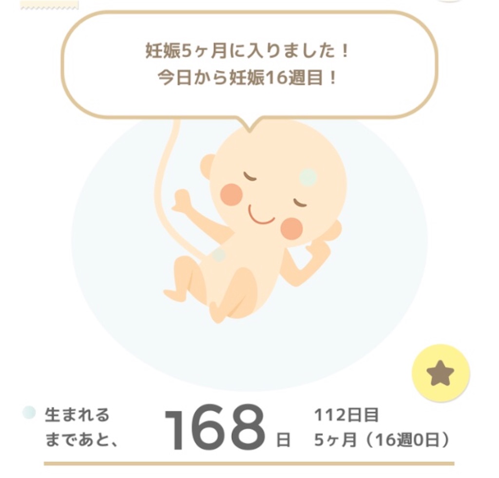 f:id:suzuminezzz:20201105210237j:image f:id:suzuminezzz:20201105210237j:image