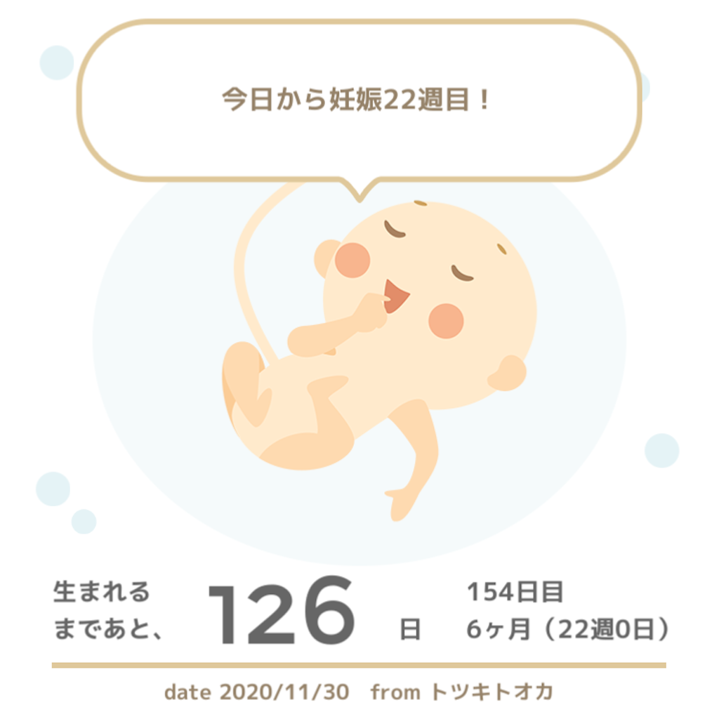 f:id:suzuminezzz:20201130215342p:image f:id:suzuminezzz:20201130215342p:image