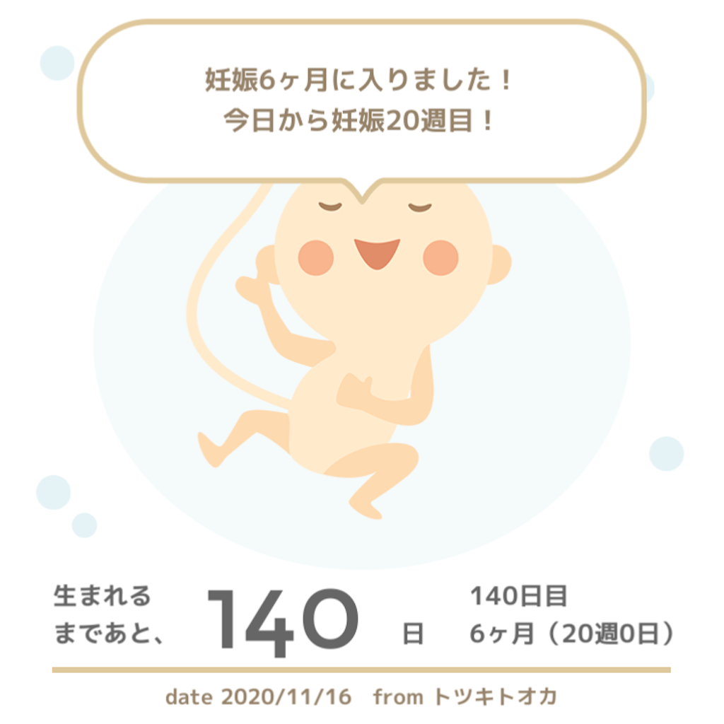 f:id:suzuminezzz:20201130215638p:image f:id:suzuminezzz:20201130215638p:image