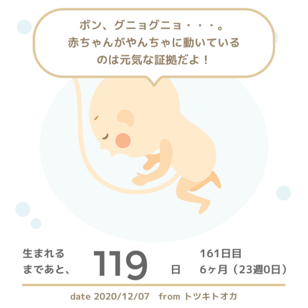 f:id:suzuminezzz:20201213224620p:image f:id:suzuminezzz:20201213224620p:image