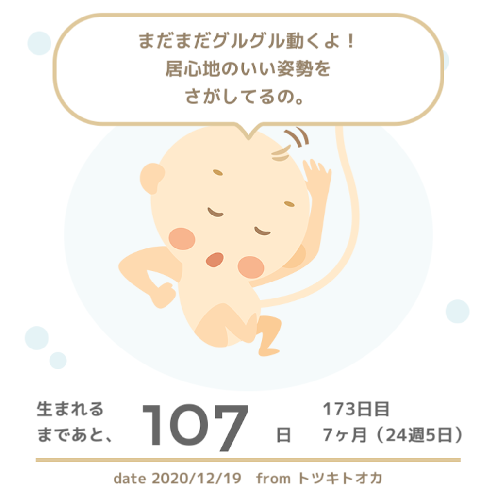 f:id:suzuminezzz:20201220141630p:image f:id:suzuminezzz:20201220141630p:image