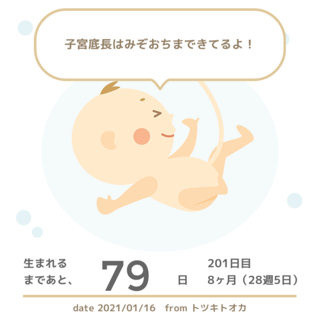 f:id:suzuminezzz:20210117171848p:image f:id:suzuminezzz:20210117171848p:image
