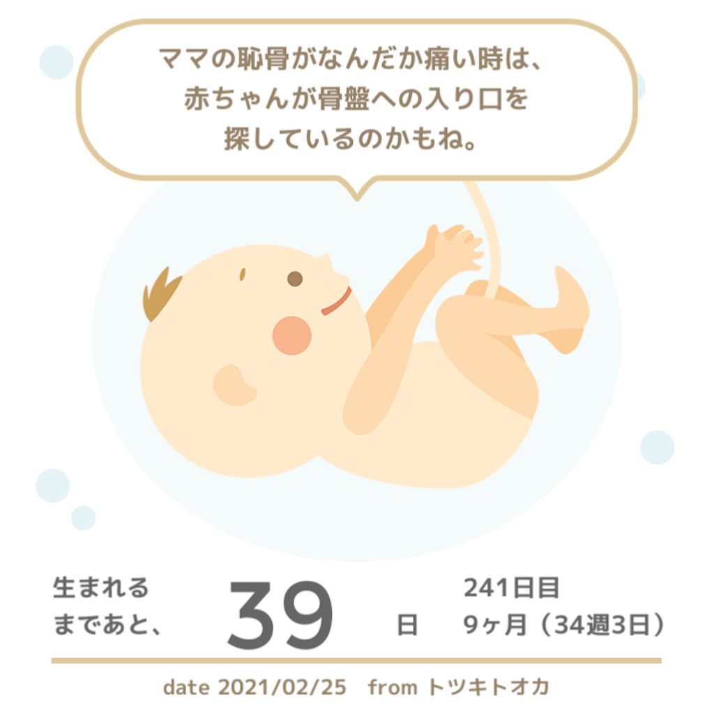 f:id:suzuminezzz:20210301180351p:image f:id:suzuminezzz:20210301180351p:image