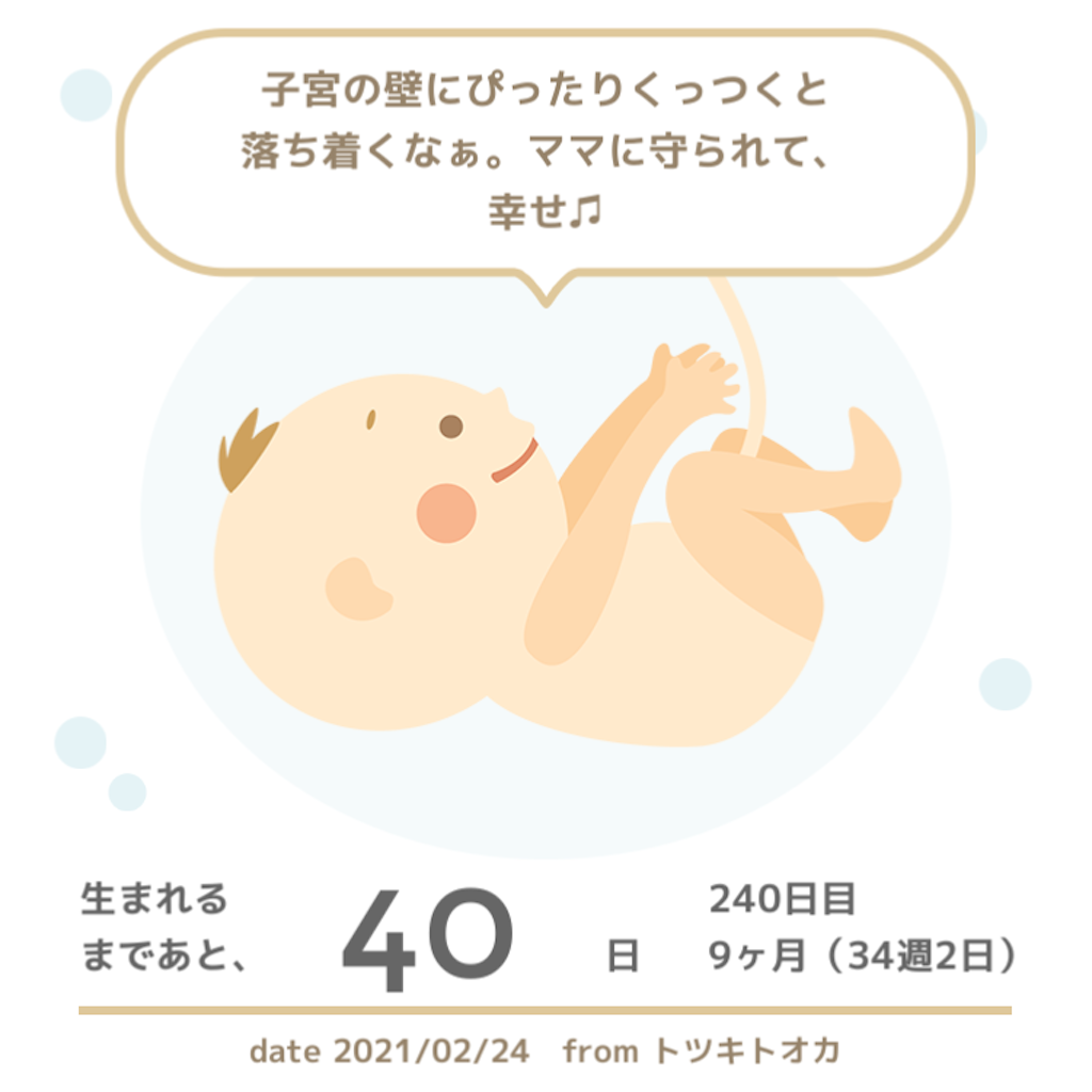 f:id:suzuminezzz:20210301181108p:image f:id:suzuminezzz:20210301181108p:image