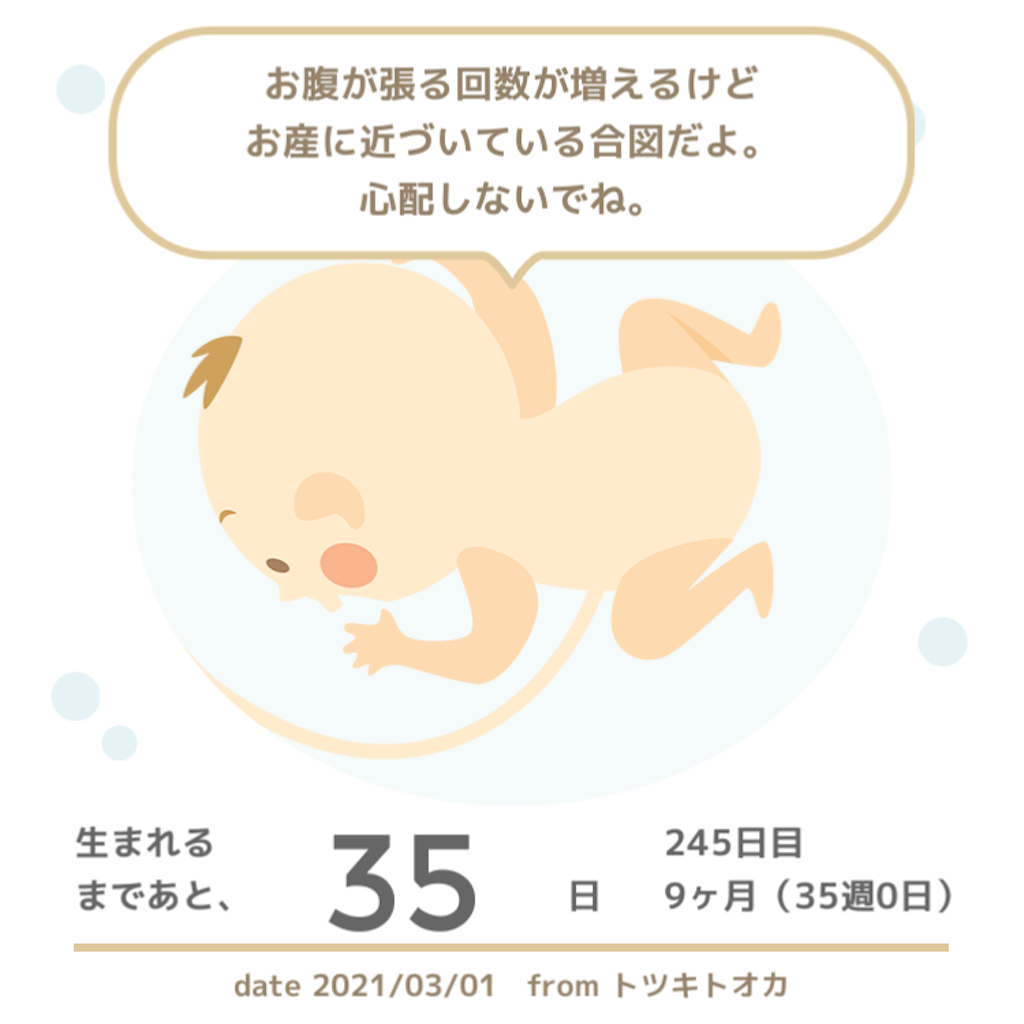 f:id:suzuminezzz:20210308163914p:image f:id:suzuminezzz:20210308163914p:image