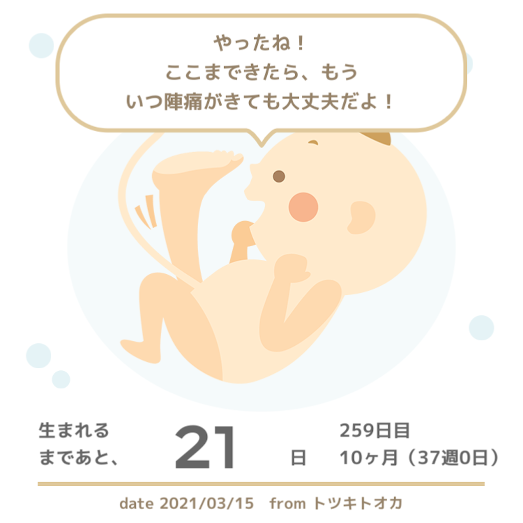 f:id:suzuminezzz:20210401161753p:image f:id:suzuminezzz:20210401161753p:image