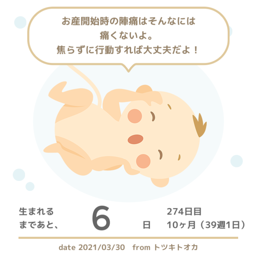 f:id:suzuminezzz:20210401162032p:image f:id:suzuminezzz:20210401162032p:image