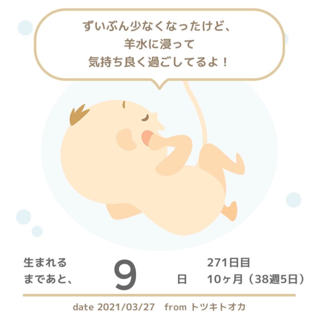 f:id:suzuminezzz:20210401162044p:image f:id:suzuminezzz:20210401162044p:image