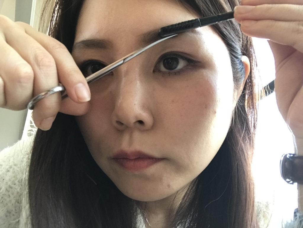 f:id:suzunasu:20180119150606j:plain f:id:suzunasu:20180119150606j:plain